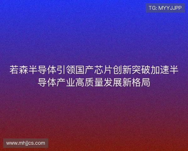 若森半导体引领国产芯片创新突破加速半导体产业高质量发展新格局